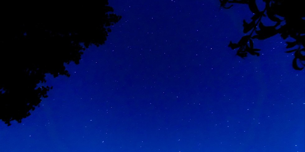 Dôme aux oiseaux : Dôme en Lorraine (Grand Est) – photo 27 sur 32