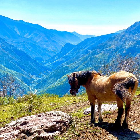 Dôme les 3 Flocons : Dôme en Provence-Alpes-Côte d'Azur – photo 32 sur 44