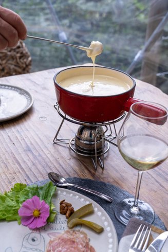 Dôme de l'eau & Demi-pension : Dôme en Rhône-Alpes (Auvergne-Rhône-Alpes) – photo 16 sur 20