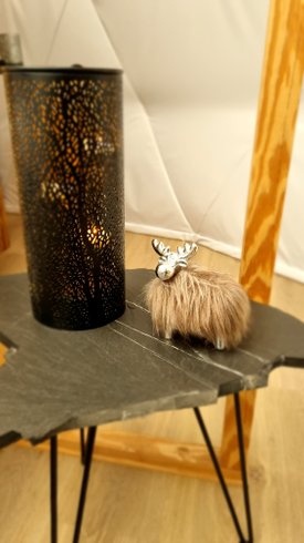 Dôme du Paradis & demi-pension : Dôme en Rhône-Alpes (Auvergne-Rhône-Alpes) – photo 7 sur 20