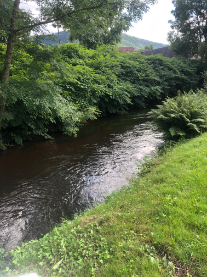 Les Bulles l'Eau Vive – photo 11 sur 36