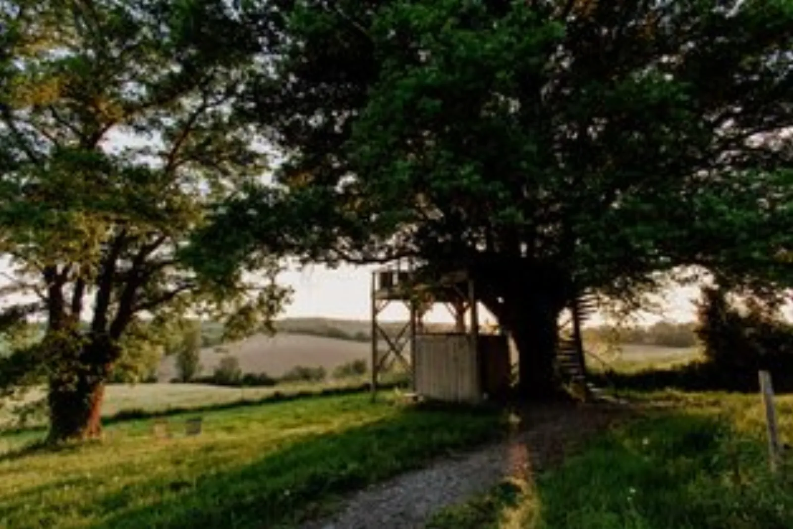 Dôme au cœur des chênes & SPA : Dôme en Midi-Pyrénées (Occitanie) - photo 23 sur 23