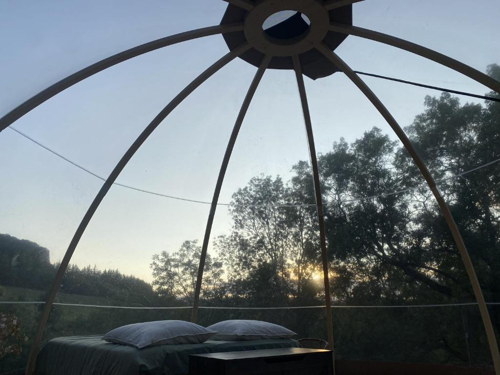 Intérieur bulle à La Tour-sur-Orb