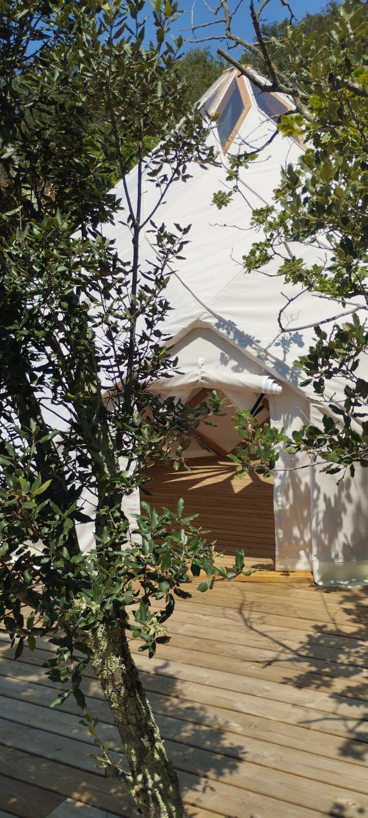 Le Zôme 12 – photo 12 sur 19