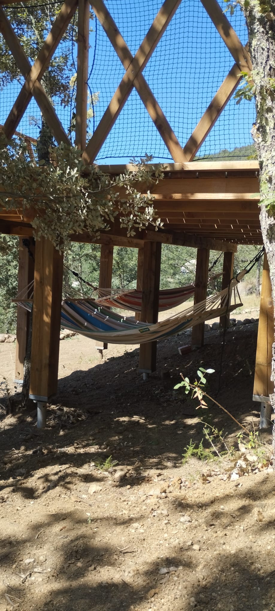 Le Zôme 12 – photo 16 sur 19