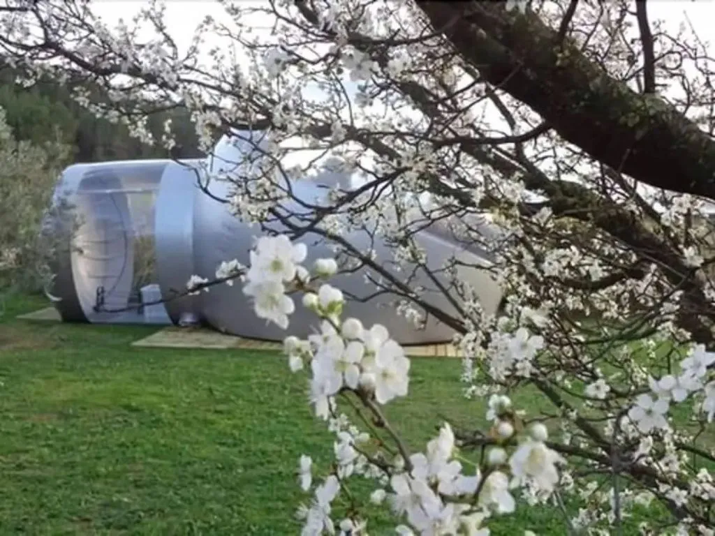 bulle insolite Aude - photo 5