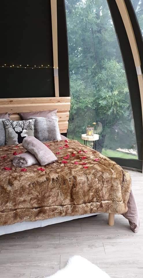 Les Cocons Pyrénéens – photo 12 sur 16