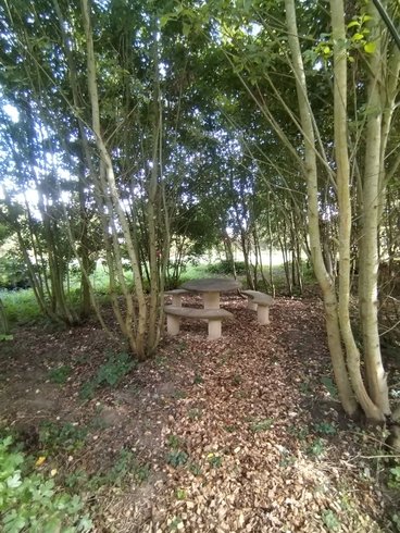 Le Dôme de Draëck & Sauna privatif : Dôme en Nord-Pas-de-Calais (Hauts-de-France) – photo 15 sur 21