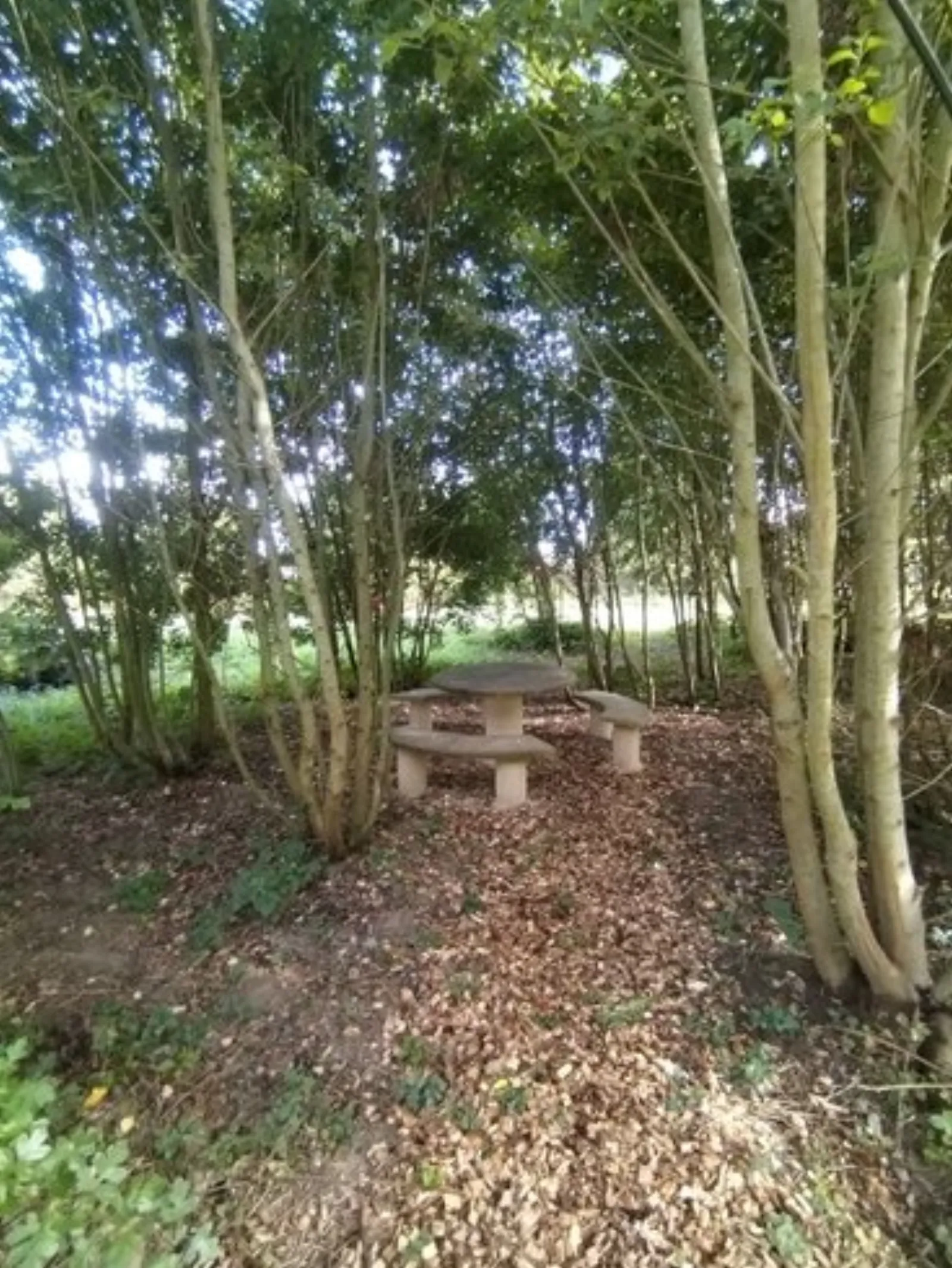 Le Dôme de Draëck & Sauna privatif : Dôme en Nord-Pas-de-Calais (Hauts-de-France) - photo 15 sur 21