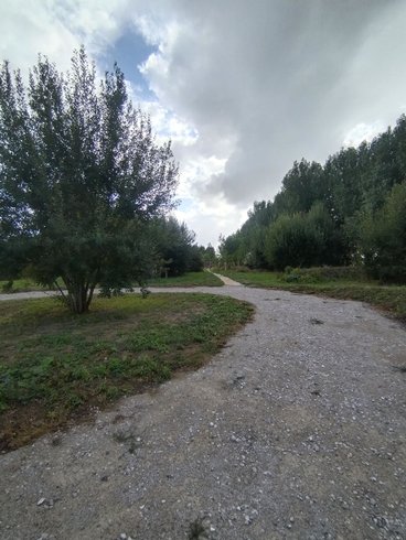 Le Dôme de Draëck & Sauna privatif : Dôme en Nord-Pas-de-Calais (Hauts-de-France) – photo 17 sur 21