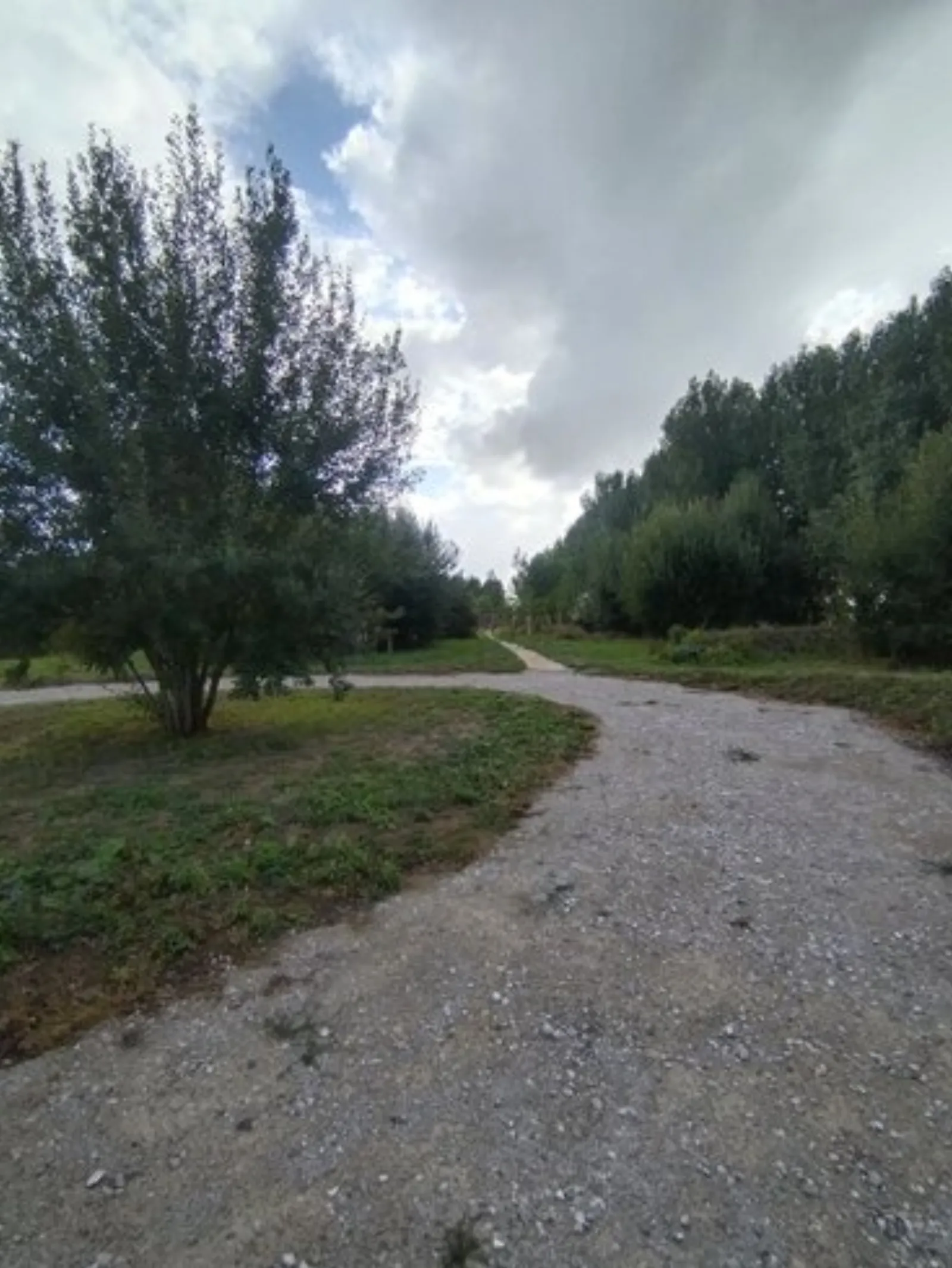Le Dôme de Draëck & Sauna privatif : Dôme en Nord-Pas-de-Calais (Hauts-de-France) - photo 17 sur 21