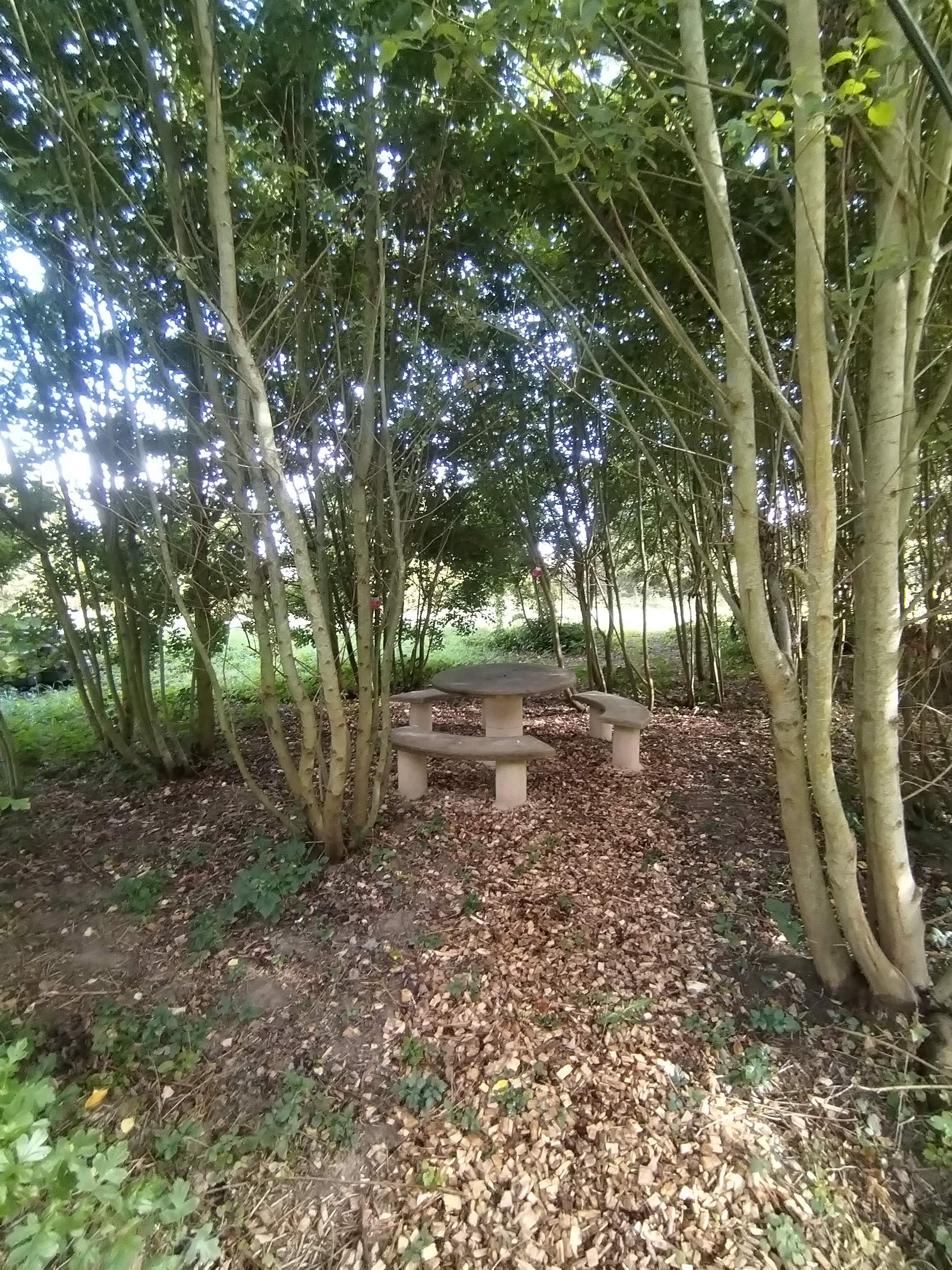 Zome Sweet Zome & Bain nordique – photo 18 sur 19