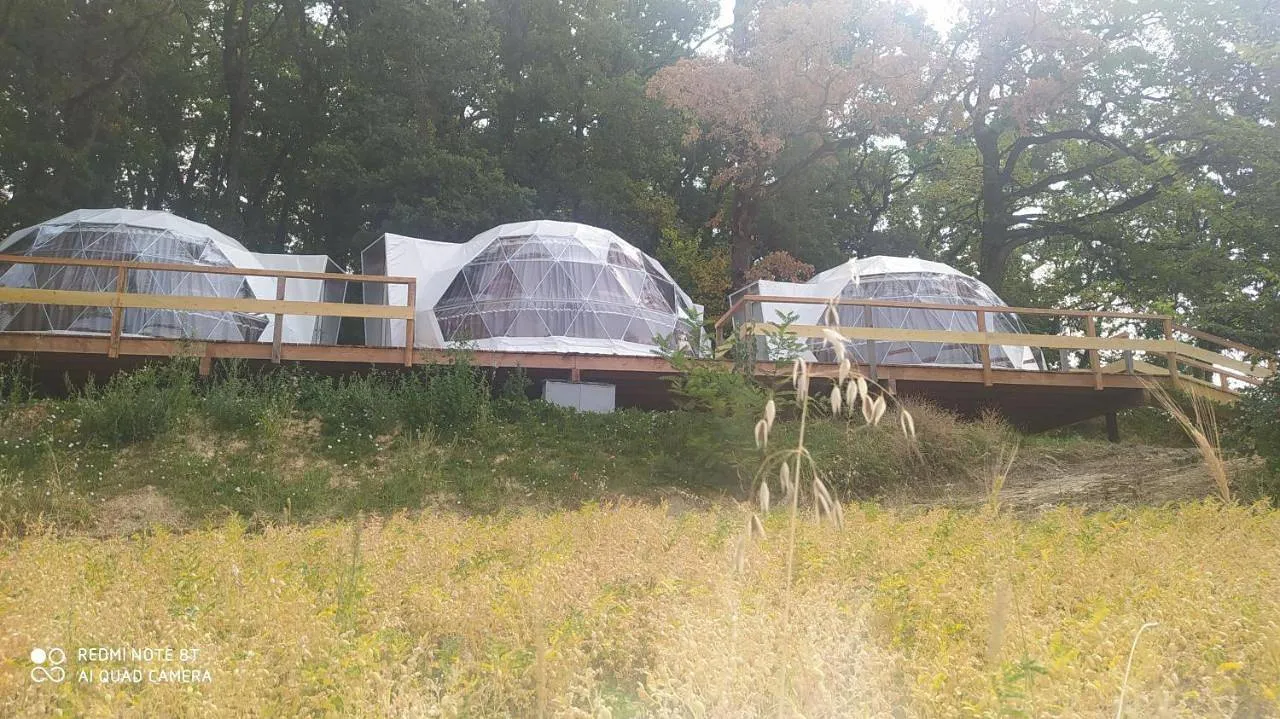 Les Dômes de Massoulac - Dôme avec piscine chauffée dans le Quercy (Molières, Tarn-et-Garonne) - photo 6 sur 7