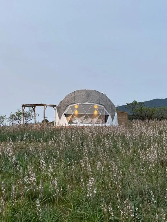 Les Dômes du Moulin - dôme climatisé avec terrasse (Urtaca, Haute-Corse) - photo 9 sur 12