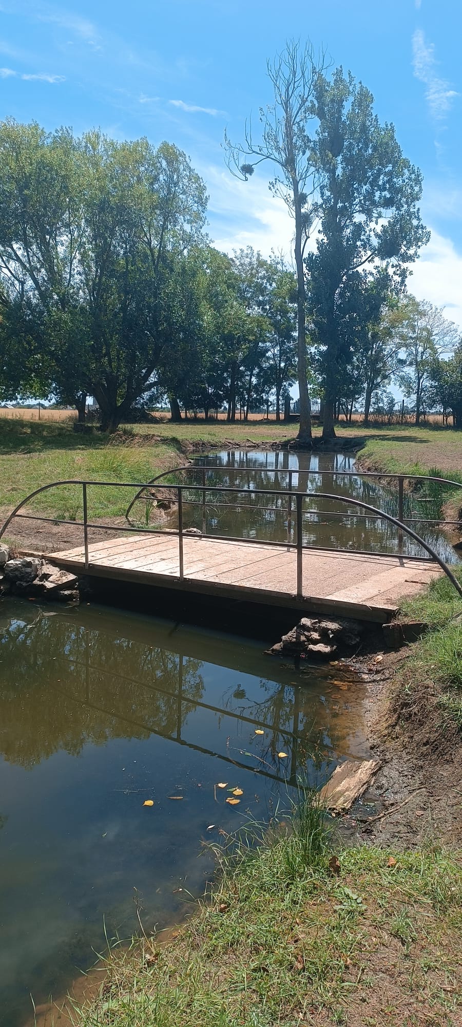 Les Ecogîtes de la Sablière – photo 7 sur 37