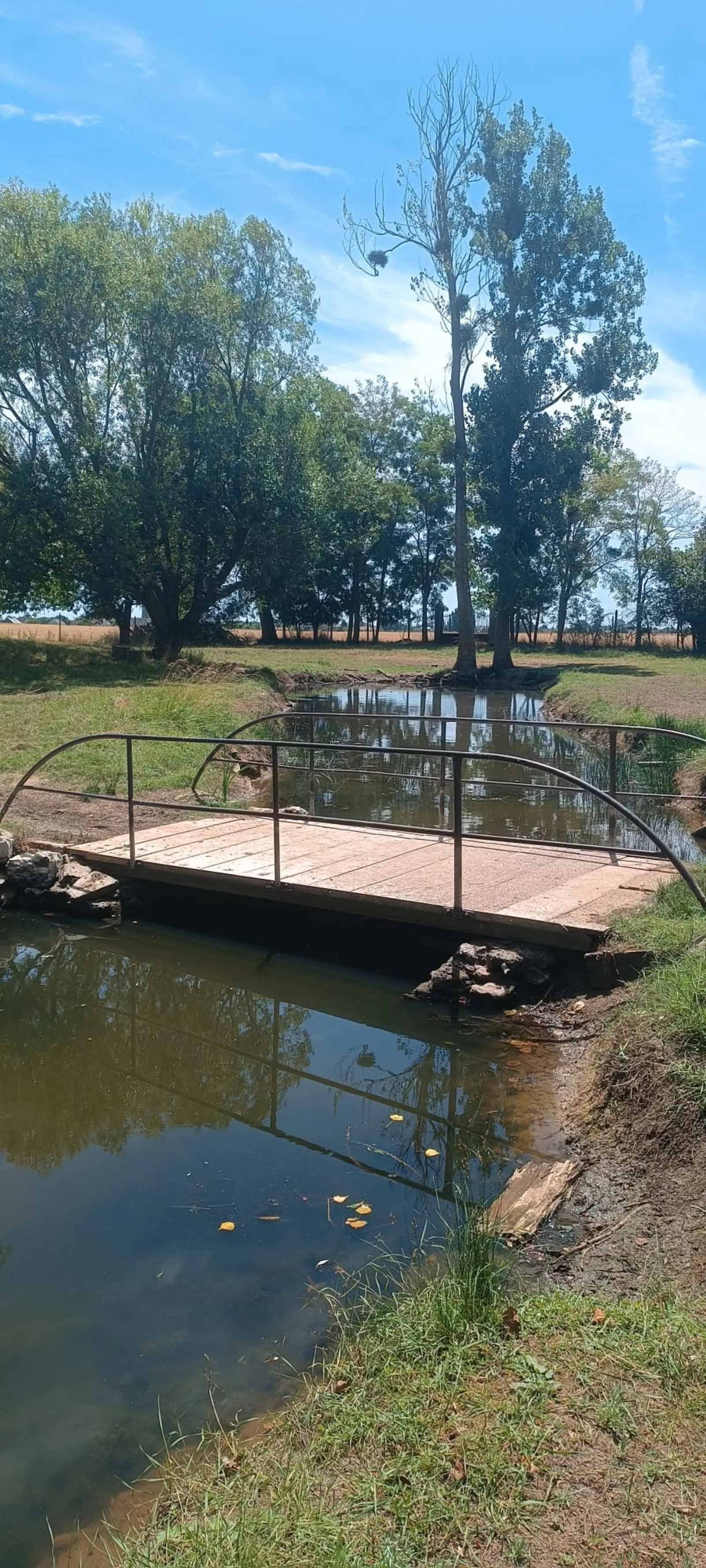 Les Ecogîtes de la Sablière - photo 7 sur 37