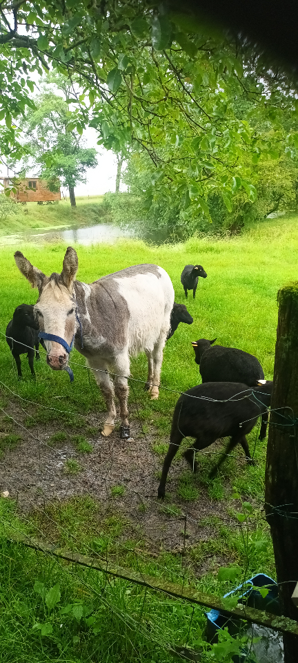 Les Ecogîtes de la Sablière – photo 31 sur 37