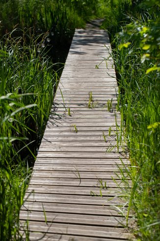 Dôme Etoile : Dôme en Picardie (Hauts-de-France) – photo 21 sur 29