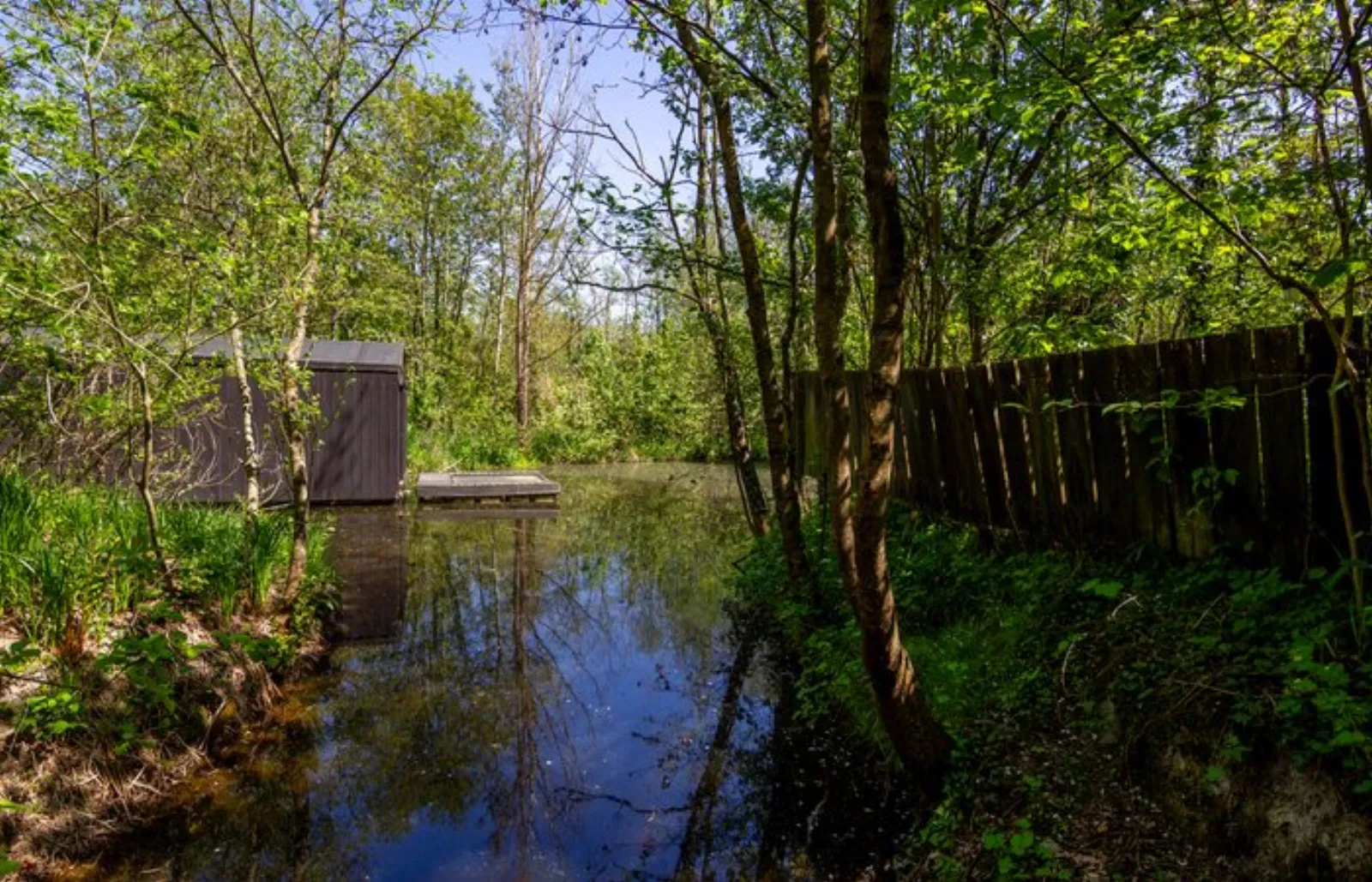 Dôme Etoile : Dôme en Picardie (Hauts-de-France) - photo 23 sur 29