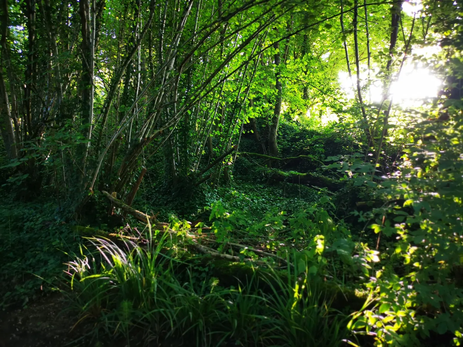 Les géodes du domaine Jean-got - photo 23 sur 23