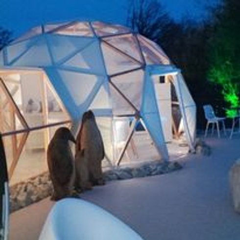 dôme insolite Haute-Saône – photo 5