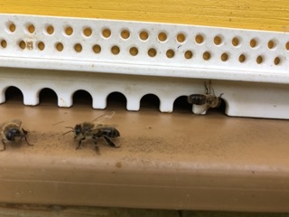 Les Toiles du Verger – photo 9 sur 19