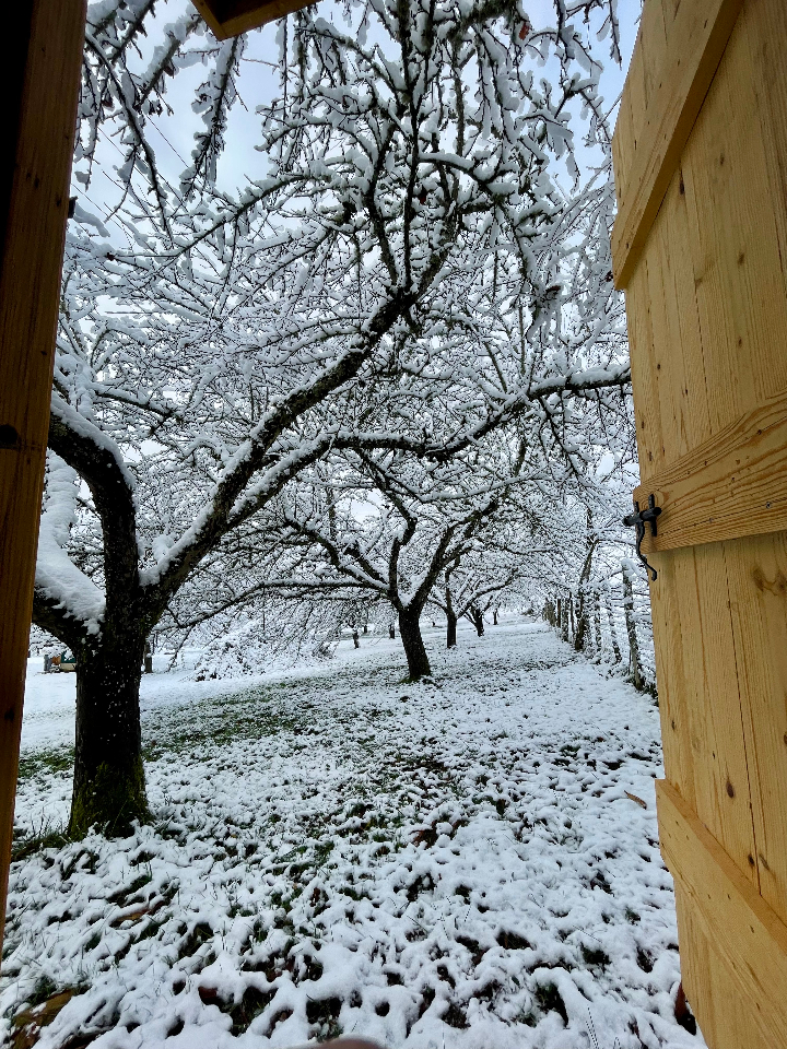 Les Toiles du Verger – photo 17 sur 19