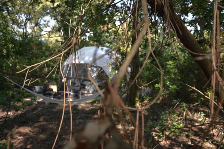 La Géode : Dôme en Aquitaine (Nouvelle Aquitaine) – photo 6 sur 20