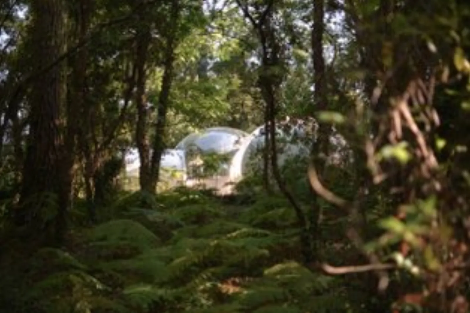 La Géode : Dôme en Aquitaine (Nouvelle Aquitaine) - photo 18 sur 20
