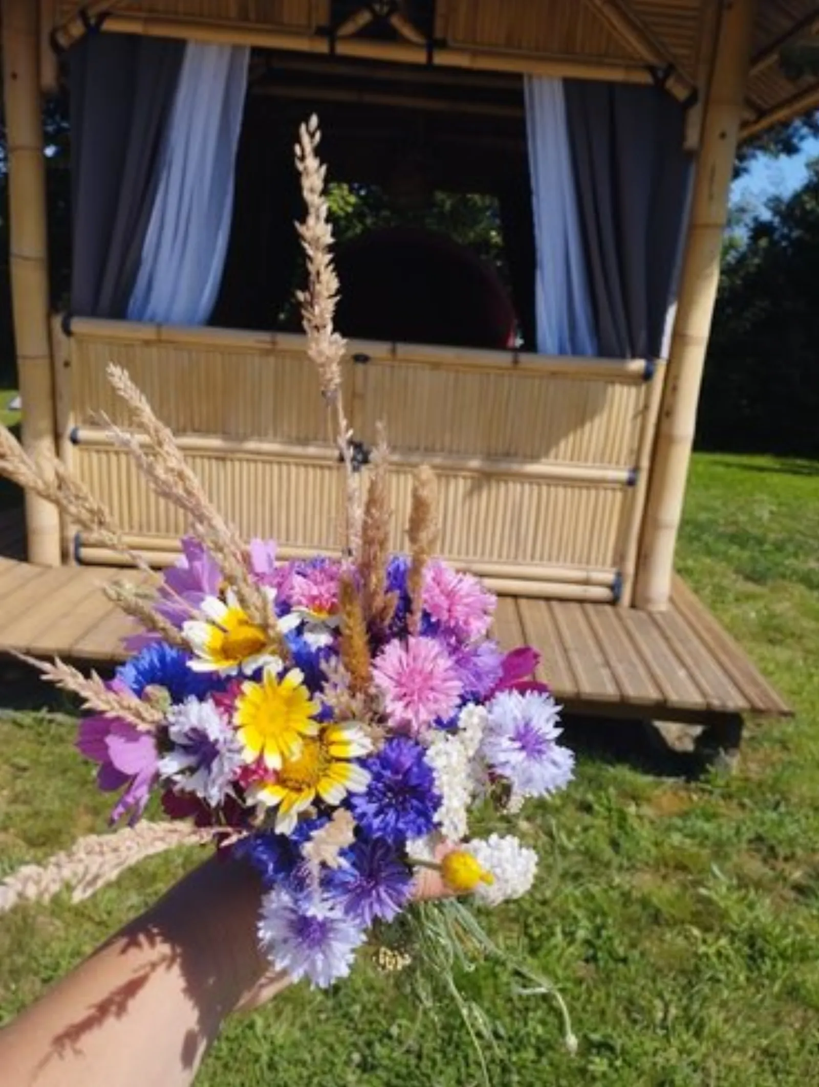 Le dodôme sous son gazebo & Spa : Dôme en Bourgogne (Bourgogne-Franche-Comté) - photo 18 sur 31