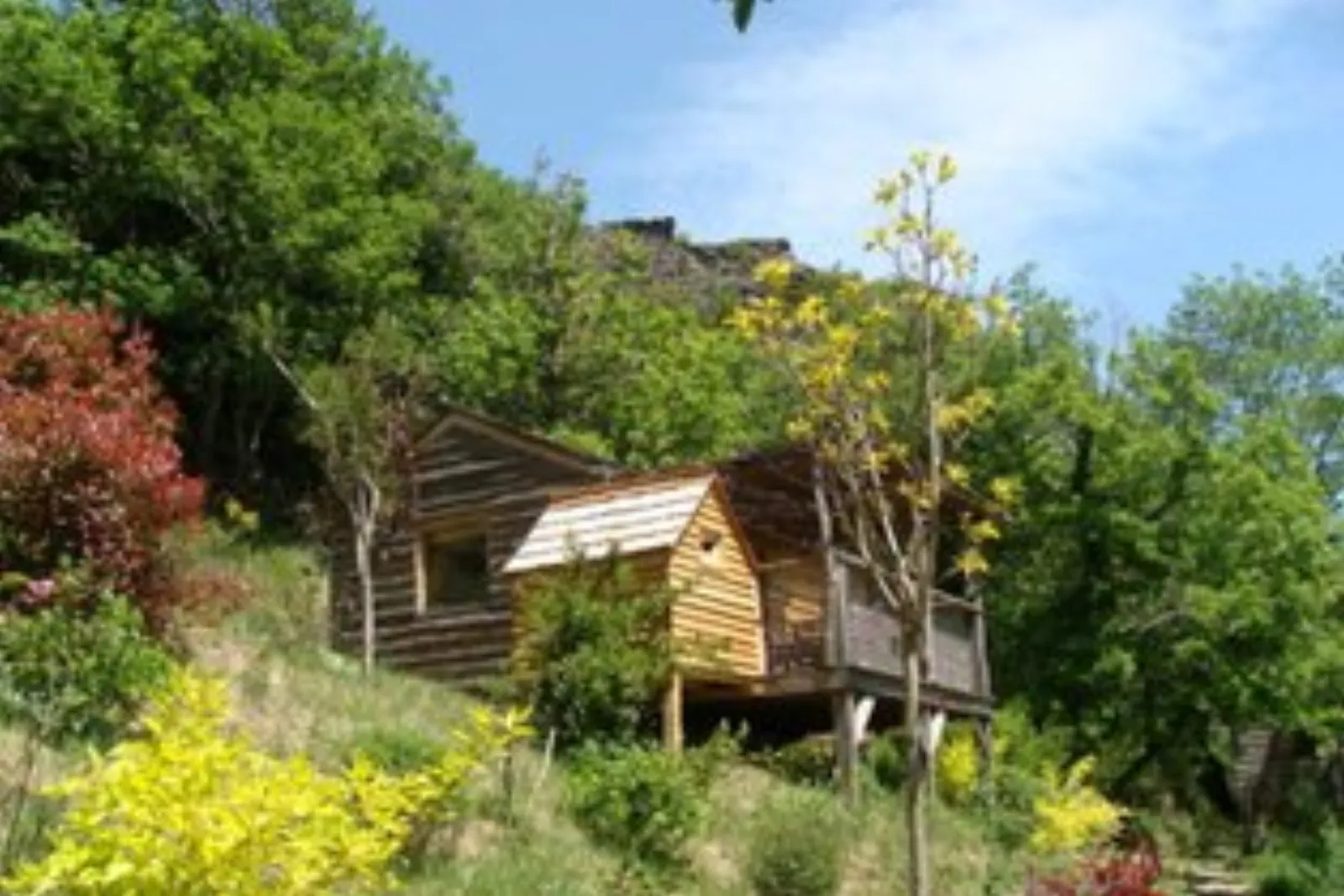 Le Dôme de la forêt : Dôme en Languedoc-Roussillon (Occitanie) - photo 8 sur 10
