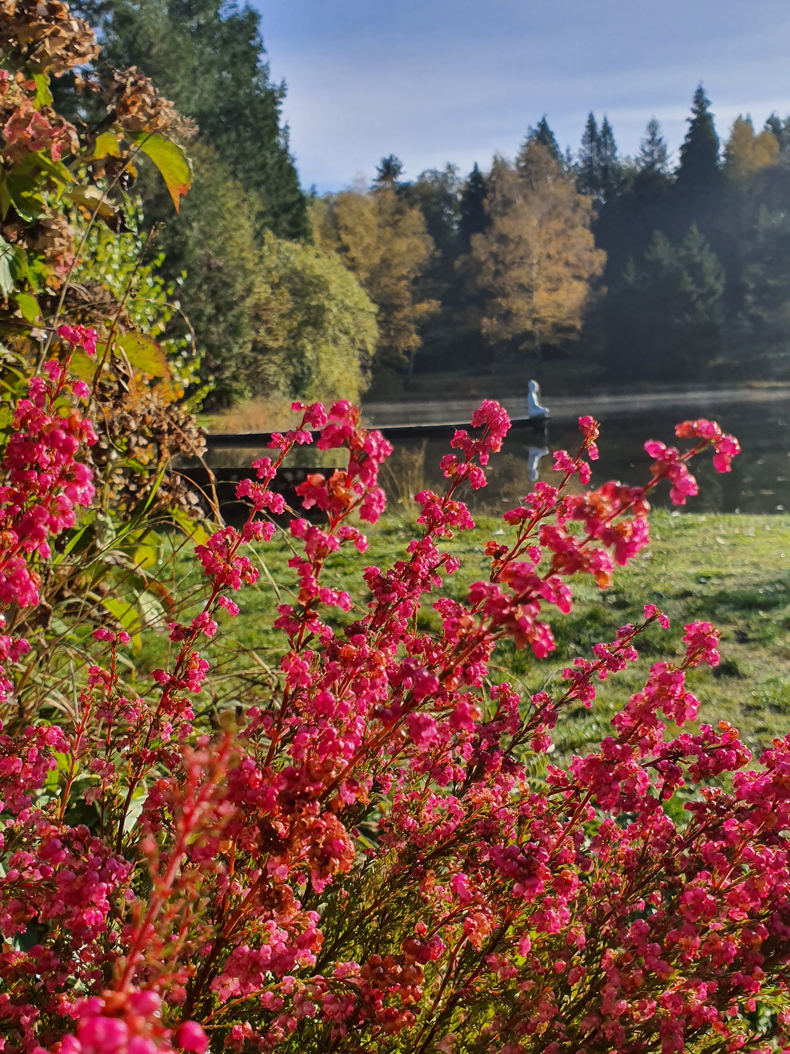 Magie en Bulles – Dôme en Ciel (Saint-Saud-Lacoussière, Dordogne) – photo 6 sur 6