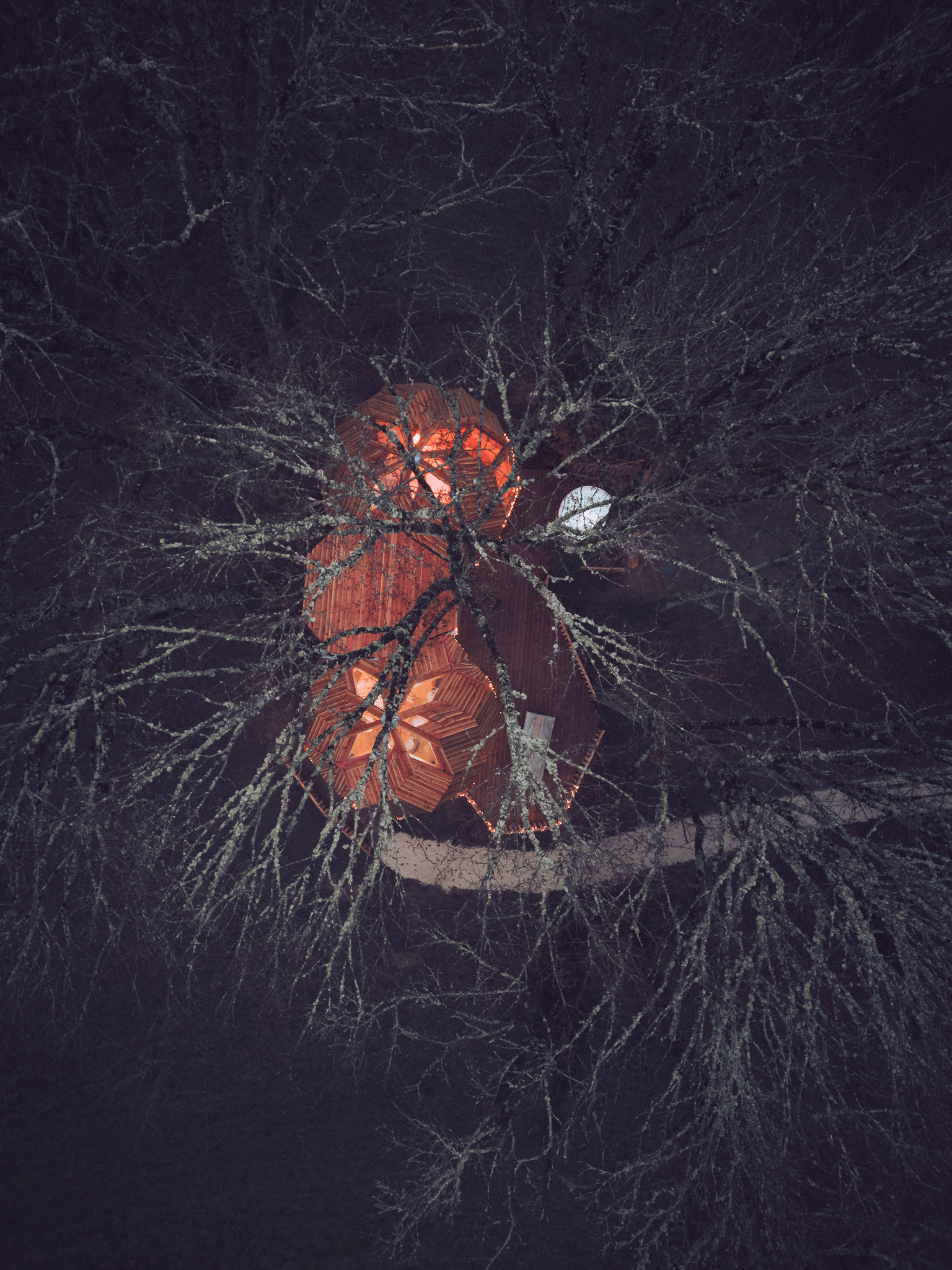 Zome Casse-Noisette & Spa – photo 20 sur 20