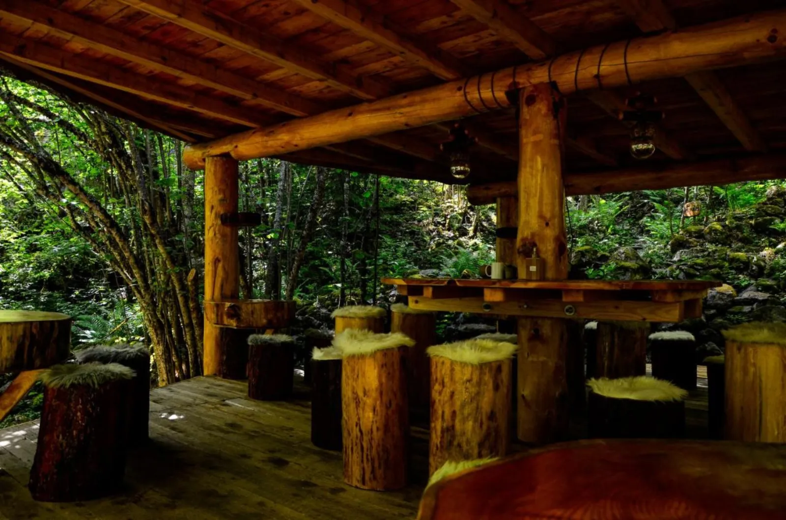 Nuit insolite bulle forêt glamping - cadre naturel Hautes-Alpes