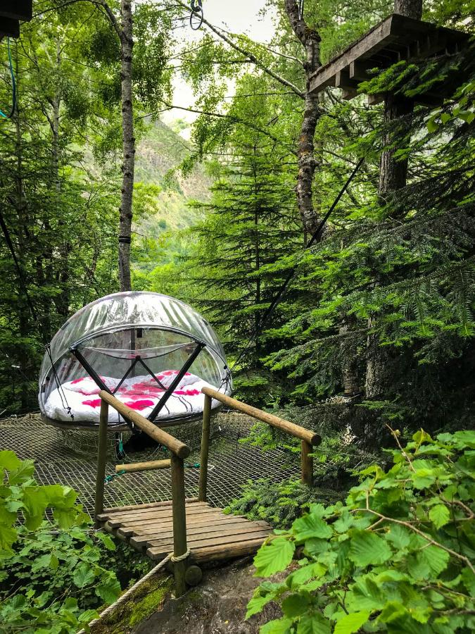 Nuit insolite bulle forêt glamping – photo 8 sur 8