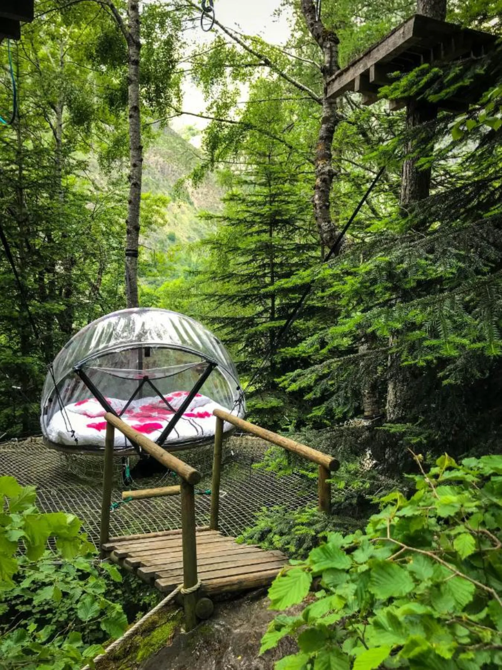 Nuit insolite bulle forêt glamping - photo 8 sur 8