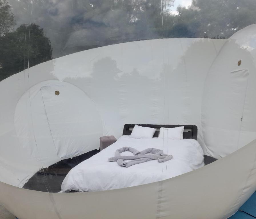 bulle insolite Manche - photo 5