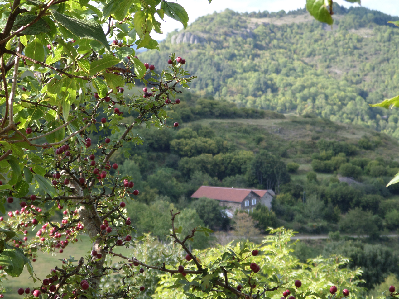 Nuits D'y Cîmes : Hébergements insolites, Bulle et Spa Ardèche, Auvergne Rhône Alpes – photo 8 sur 21