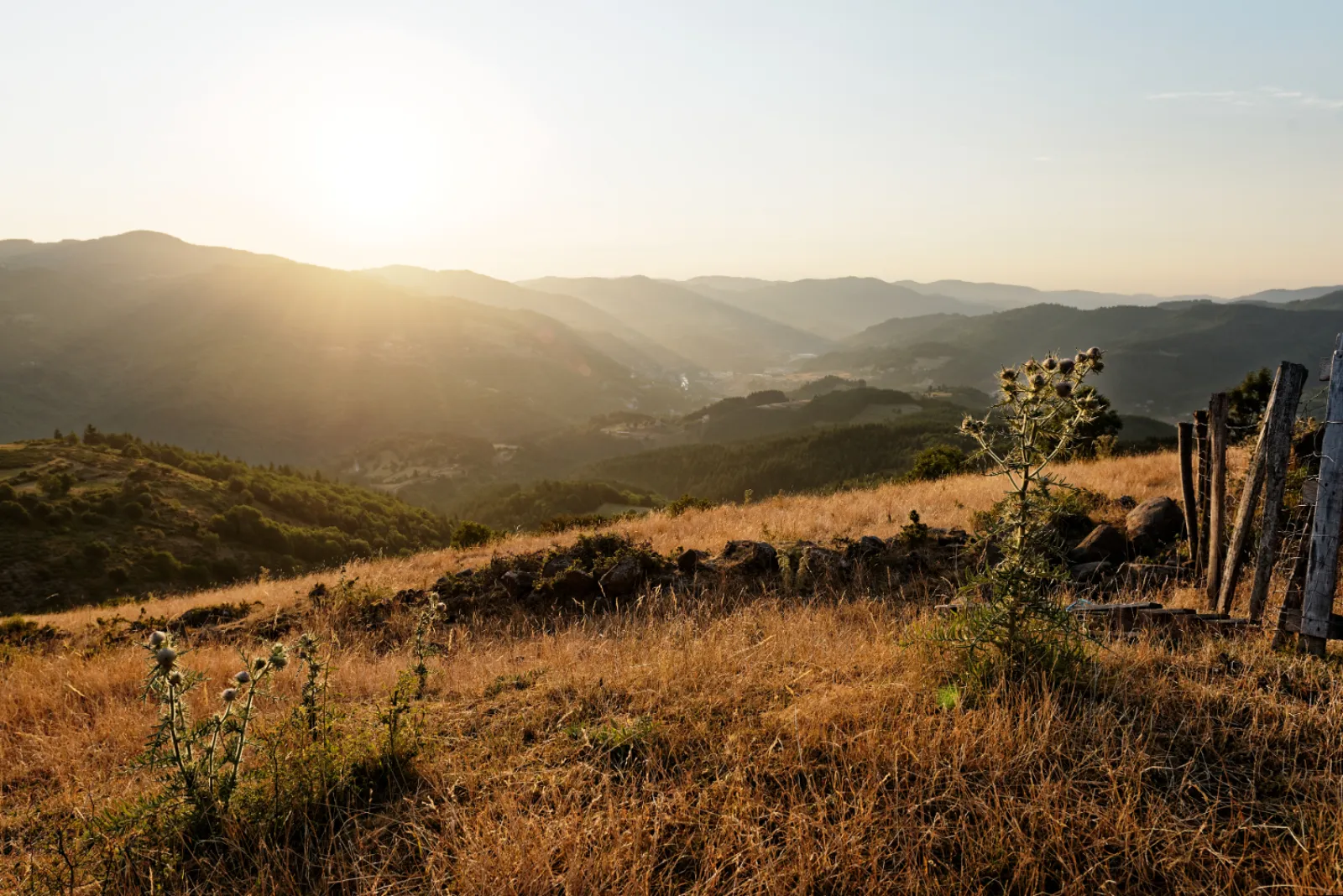 Nuits D'y Cîmes : Hébergements insolites, Bulle et Spa Ardèche, Auvergne Rhône Alpes - photo 9 sur 21