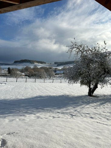 Nuit's Féerique en Champagne & Spa : Dôme en Champagne-Ardenne (Grand Est) – photo 29 sur 43