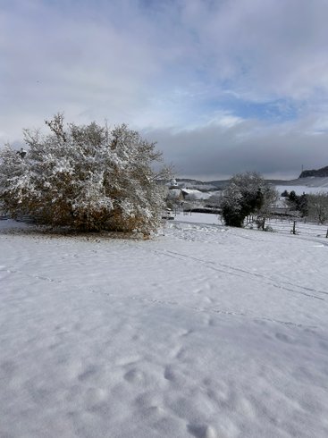 Nuit's Féerique en Champagne & Spa : Dôme en Champagne-Ardenne (Grand Est) – photo 32 sur 43