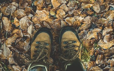 O'fun'enbulle & Spa : Dôme en Nord-Pas-de-Calais (Hauts-de-France) – photo 36 sur 38