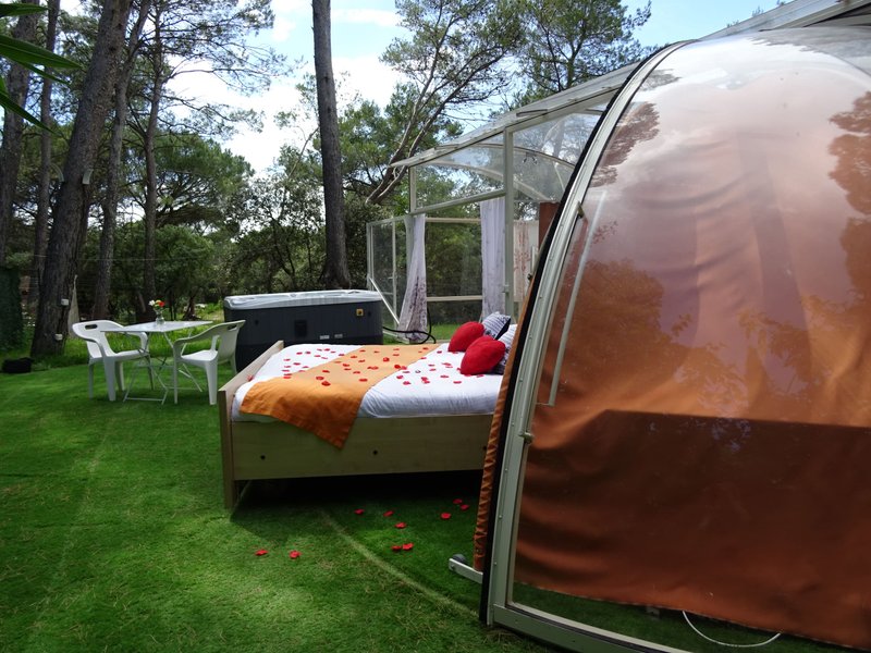 Bulle Spa sous les Pins : Bulle en Provence-Alpes-Côte d'Azur – photo 7 sur 26