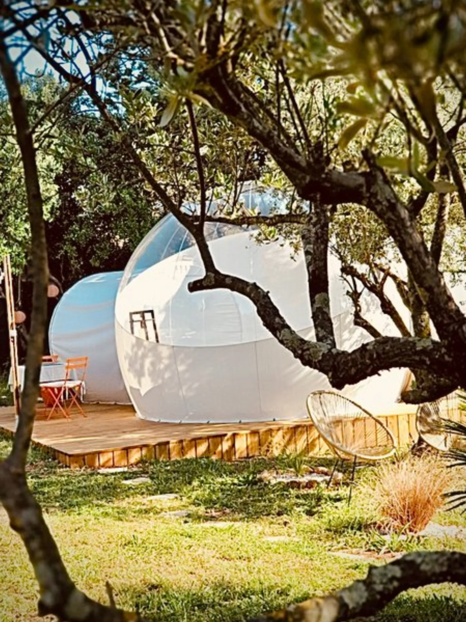 Bubble Dream & Spa : Bulle en Provence-Alpes-Côte d'Azur - cadre naturel Var
