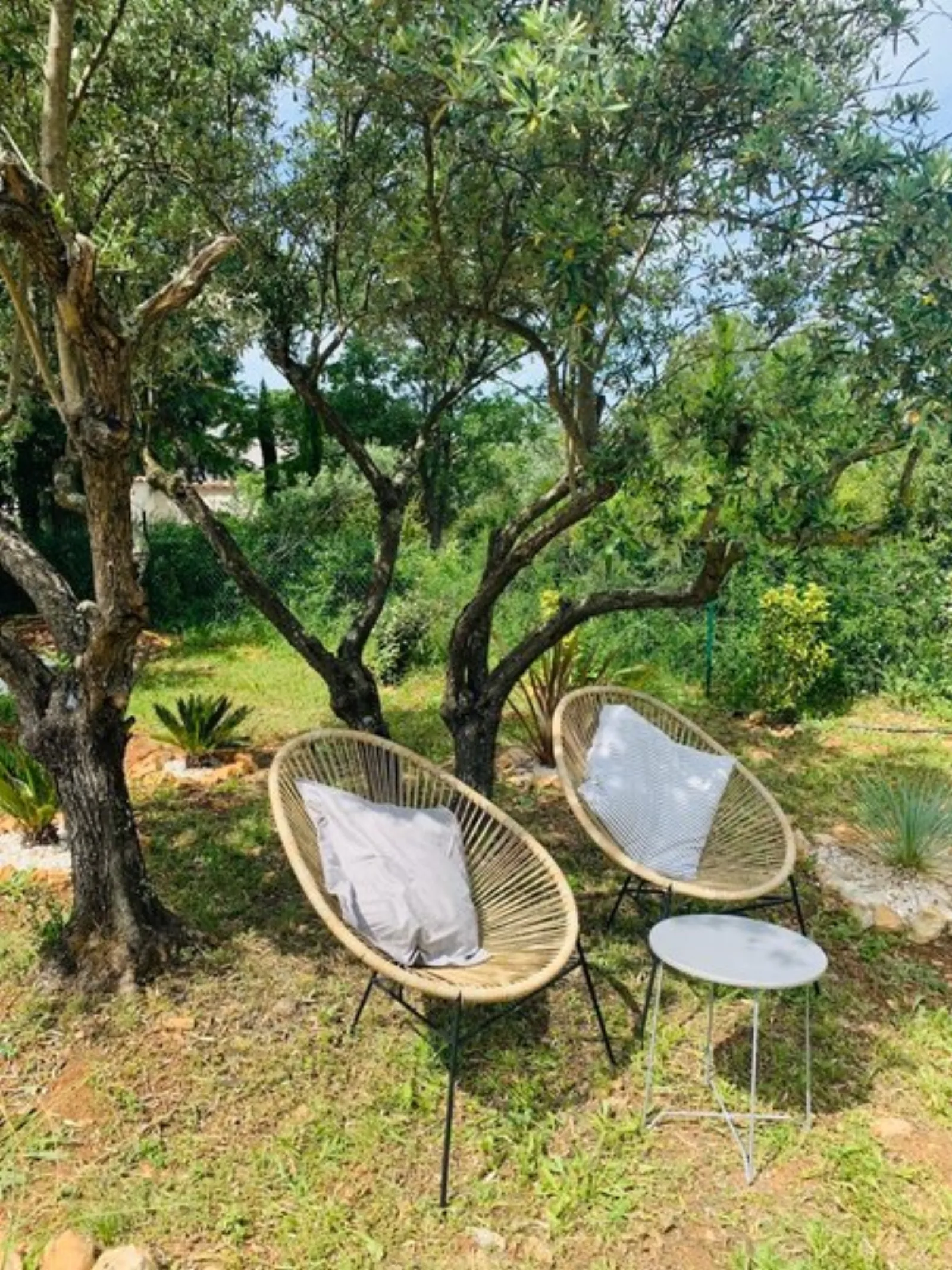 Bubble Dream & Spa : Bulle en Provence-Alpes-Côte d'Azur - photo 16 sur 27