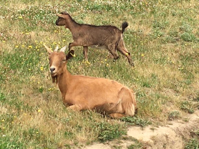 La bulle des 2 arbres de la sagesse & Spa : Bulle en Centre (Centre-Val de Loire) – photo 21 sur 23
