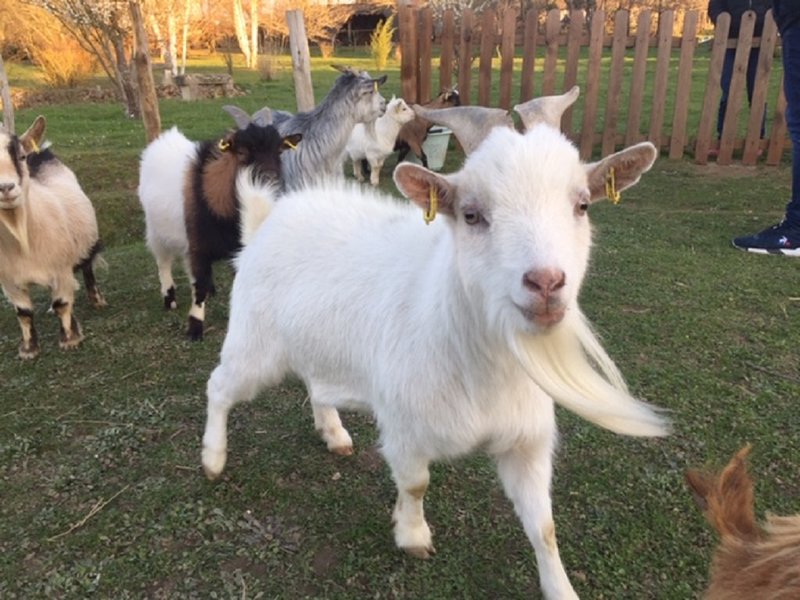 La bulle des 2 arbres de la sagesse & Spa : Bulle en Centre (Centre-Val de Loire) – photo 23 sur 23