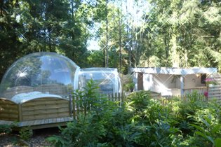 Bulle d'O & Spa : Bulle en Limousin (Nouvelle Aquitaine) – photo 7 sur 9