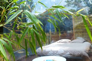 Bulle d'O & Spa : Bulle en Limousin (Nouvelle Aquitaine) – photo 8 sur 9