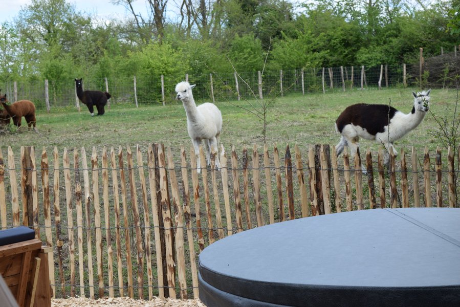 Intérieur bulle à Tuffalun